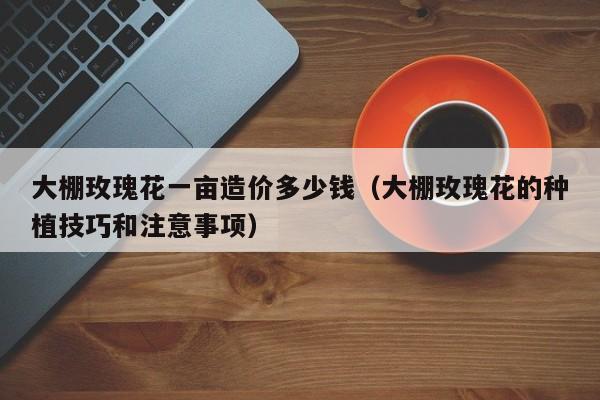 大棚玫瑰花一亩造价多少钱（大棚玫瑰花的种植技巧和注意事项）